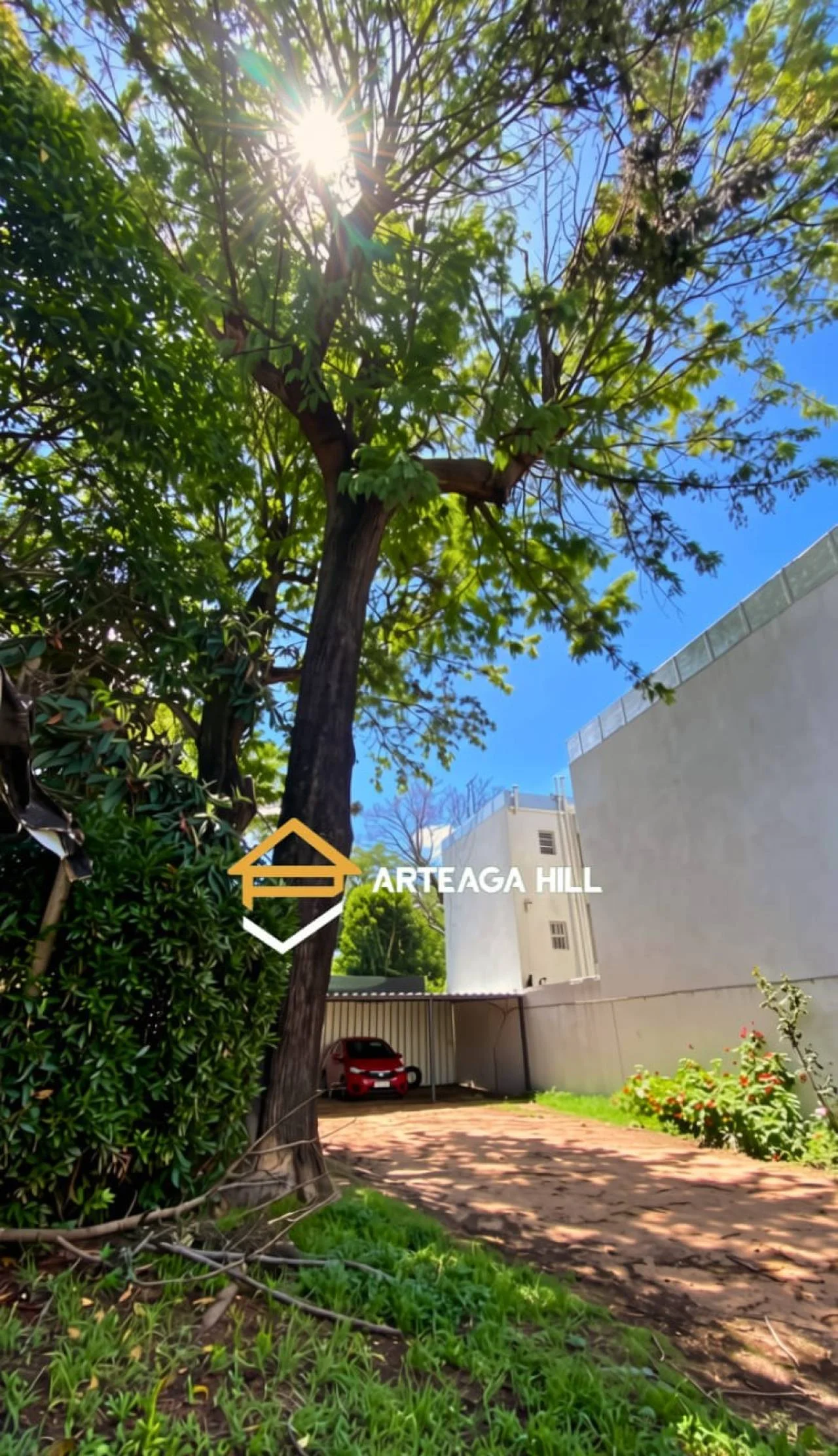 Local en Brazo Oriental, propiedad 285921 -Imagen 13