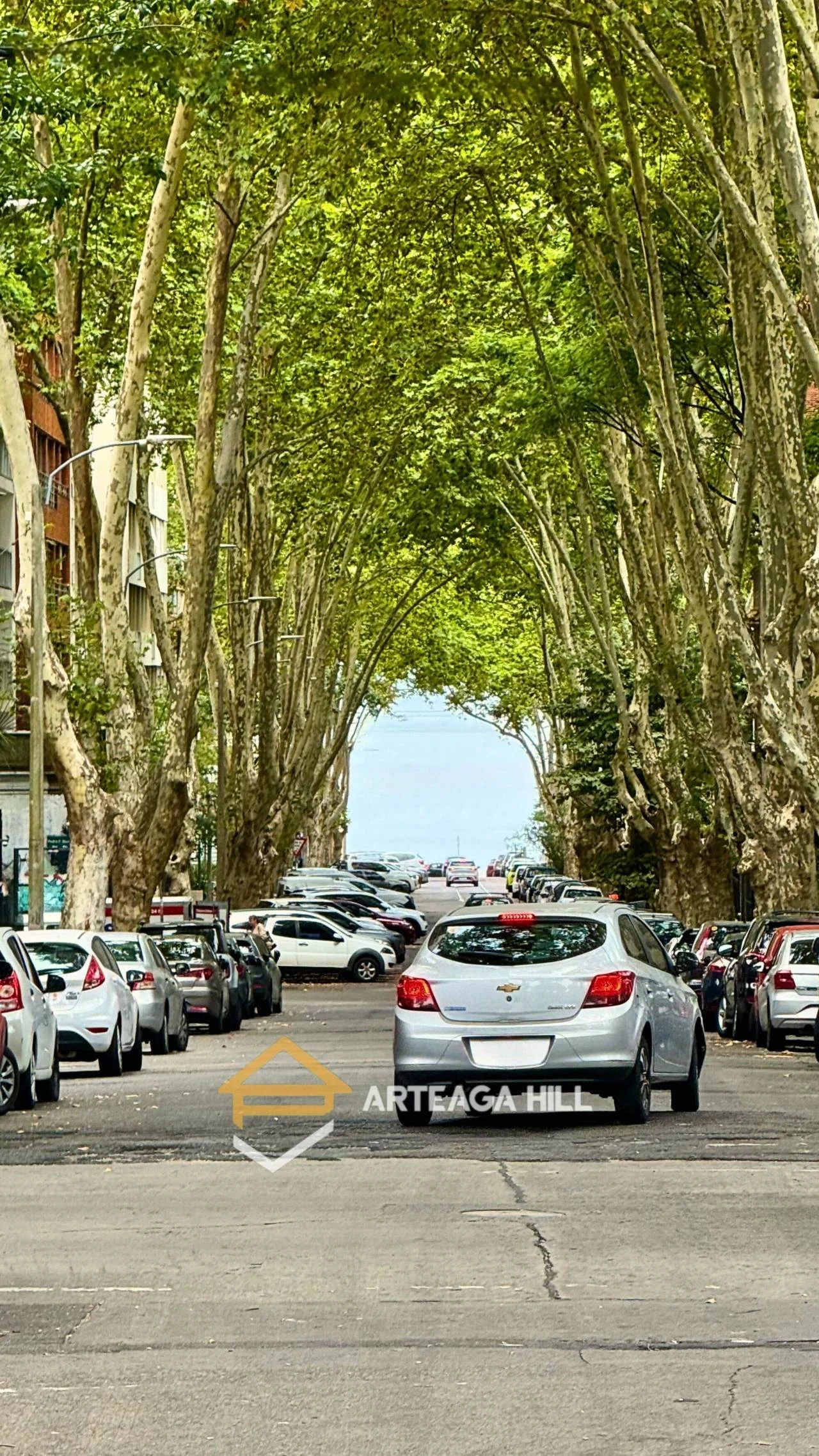 Apartamento en Pocitos, propiedad 289144 -Imagen 2