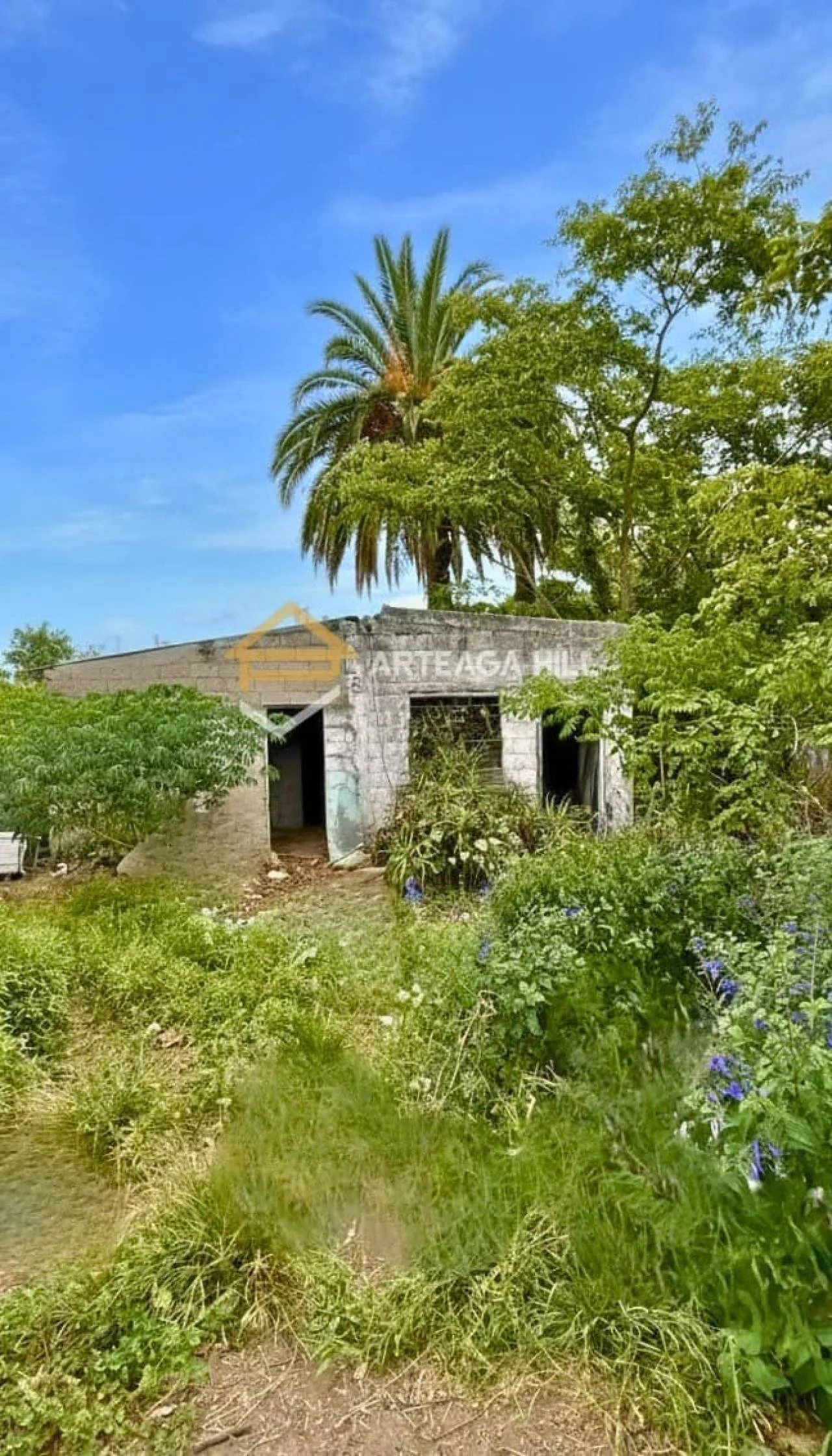 Terreno en Jardines del Hipódromo, propiedad 289182 -Imagen 17