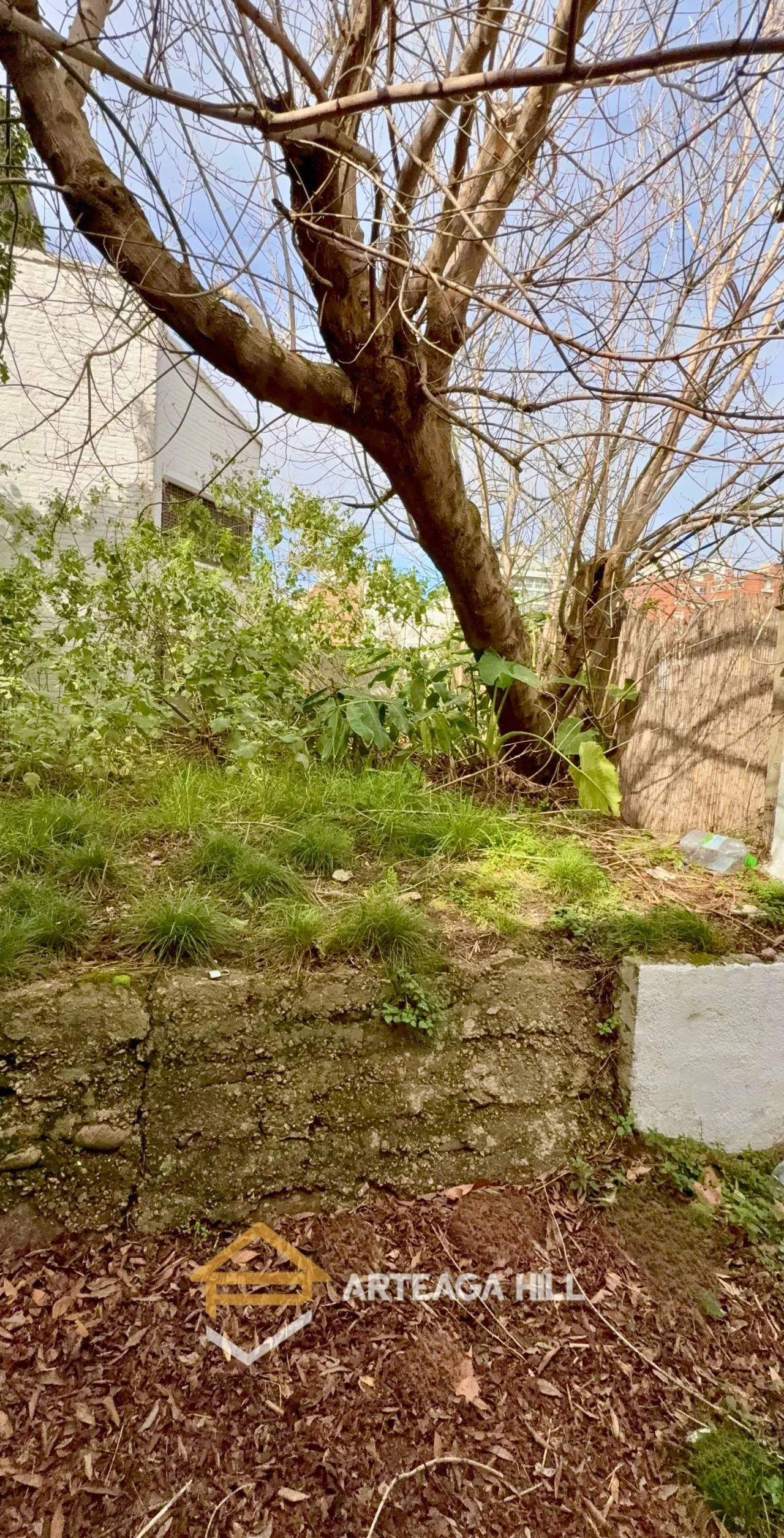Terreno en Punta Carretas, propiedad 289183 -Imagen 11