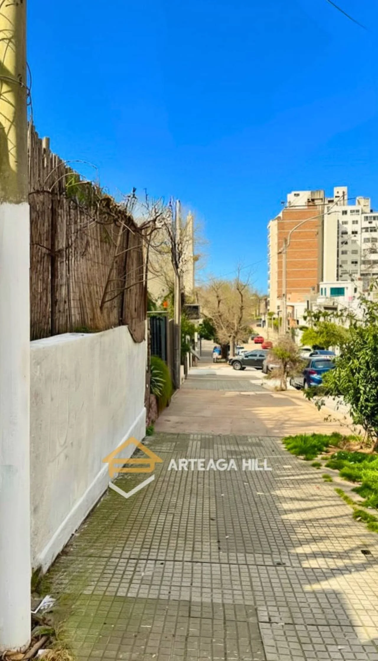 Terreno en Punta Carretas, propiedad 289183 -Imagen 12
