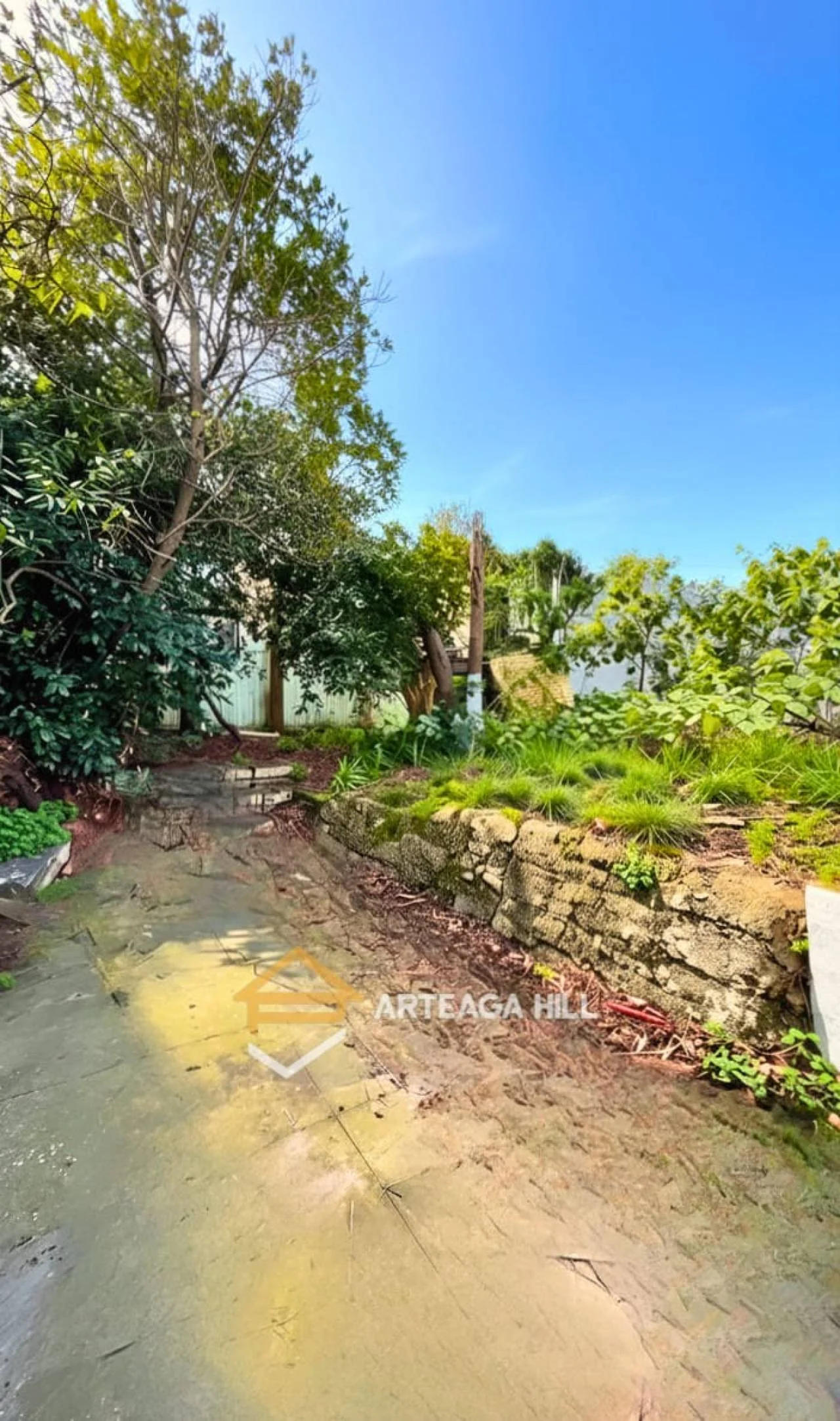 Terreno en Punta Carretas, propiedad 289183 -Imagen 5