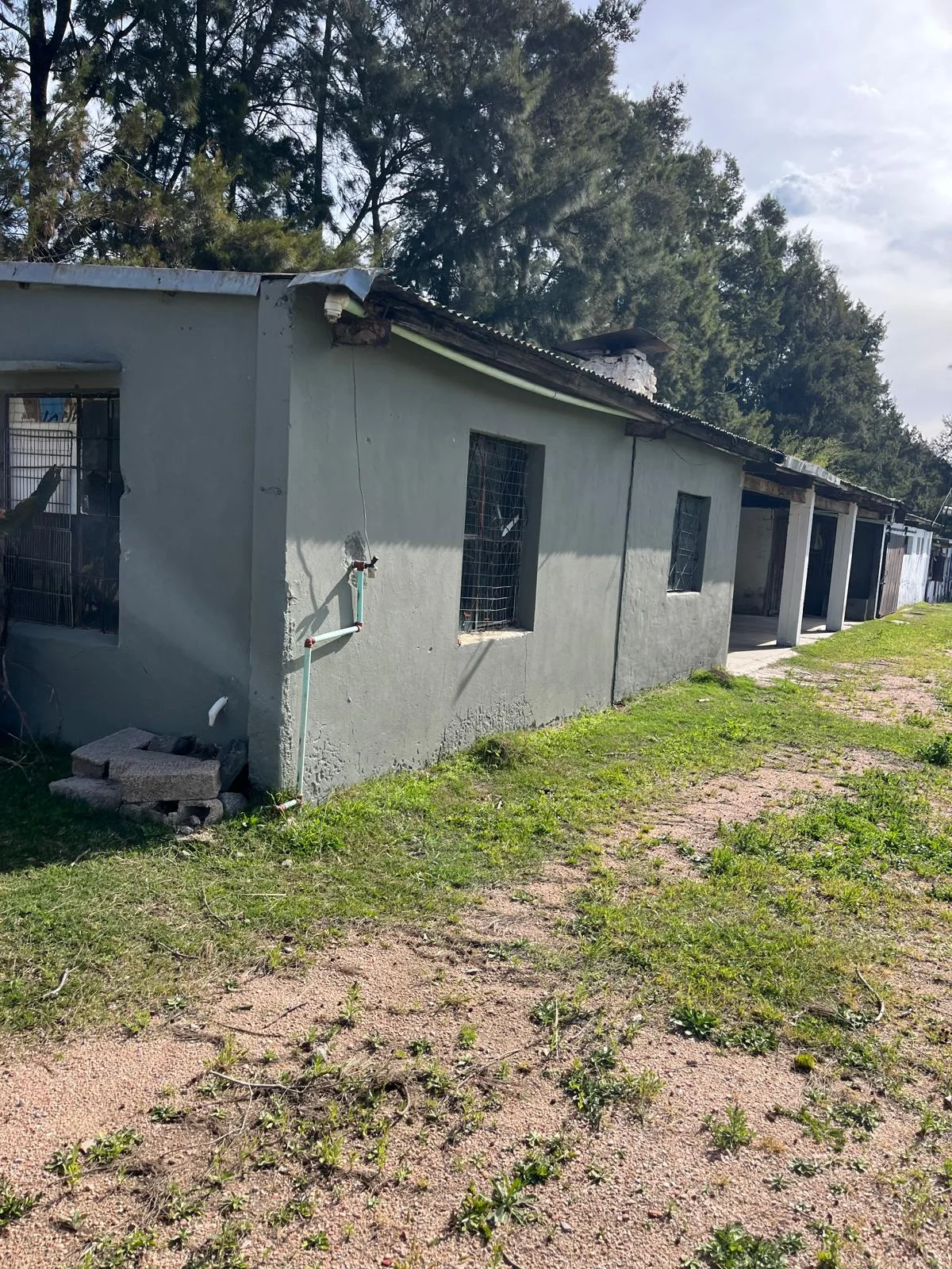 Chacra en Colonia Nicolich, propiedad 299481 -Imagen 2
