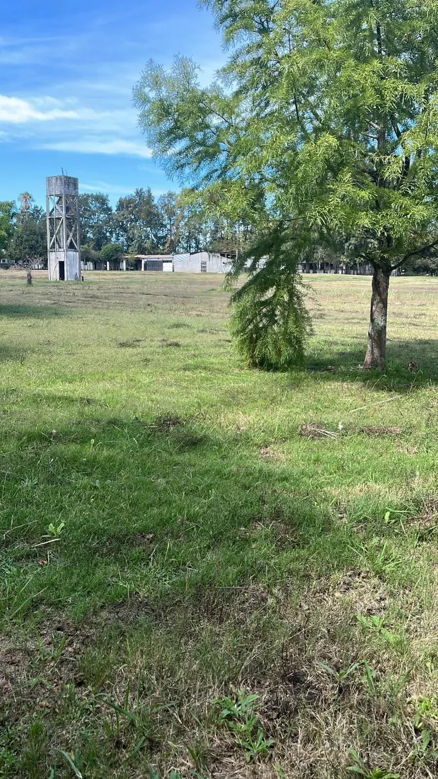 Chacra en Colonia Nicolich, propiedad 299481 -Imagen 6
