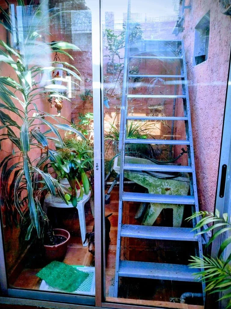 Casa en Belvedere, propiedad 276862 -Imagen 9