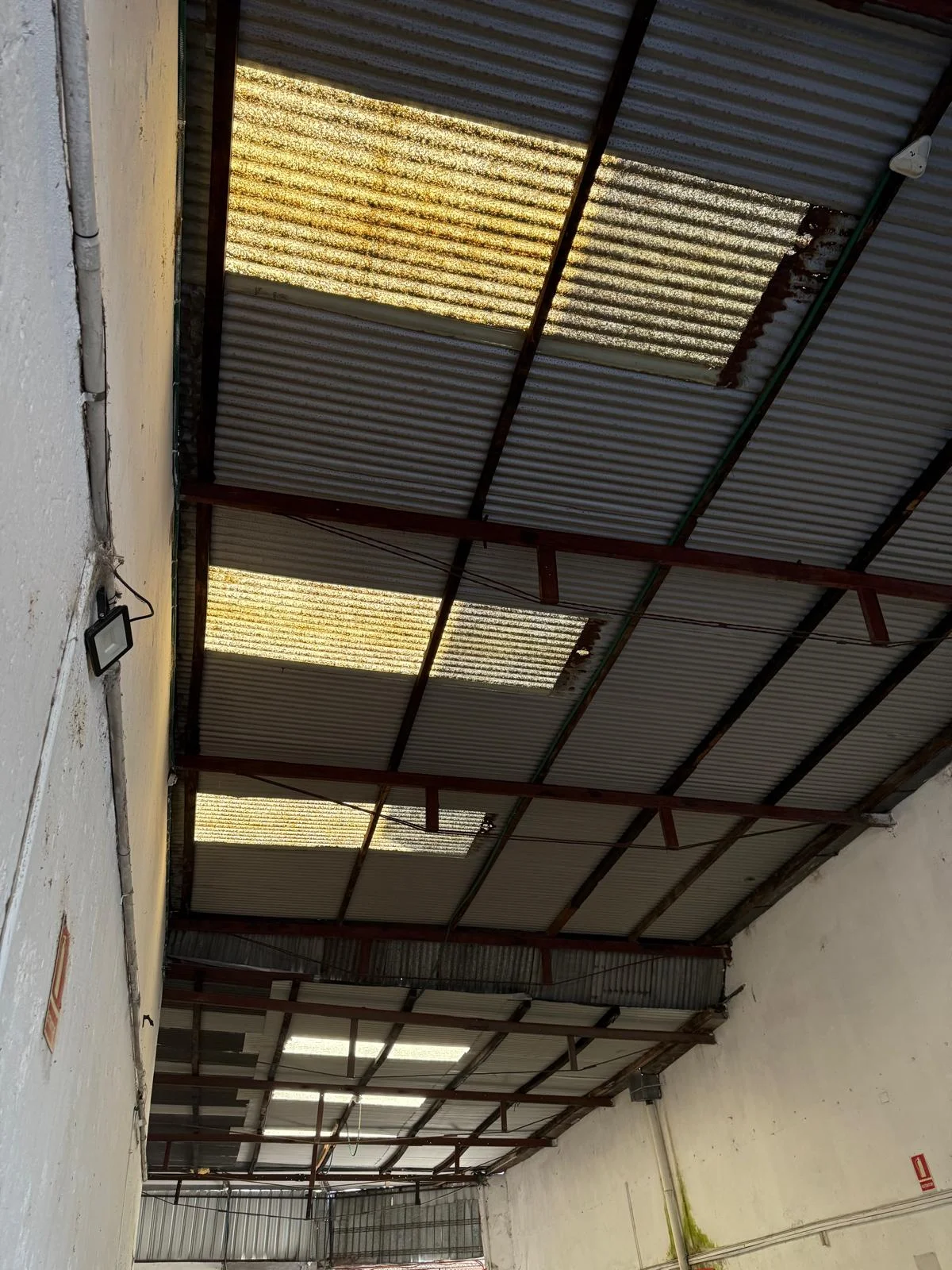 Local en Aguada, propiedad 292402 -Imagen 7