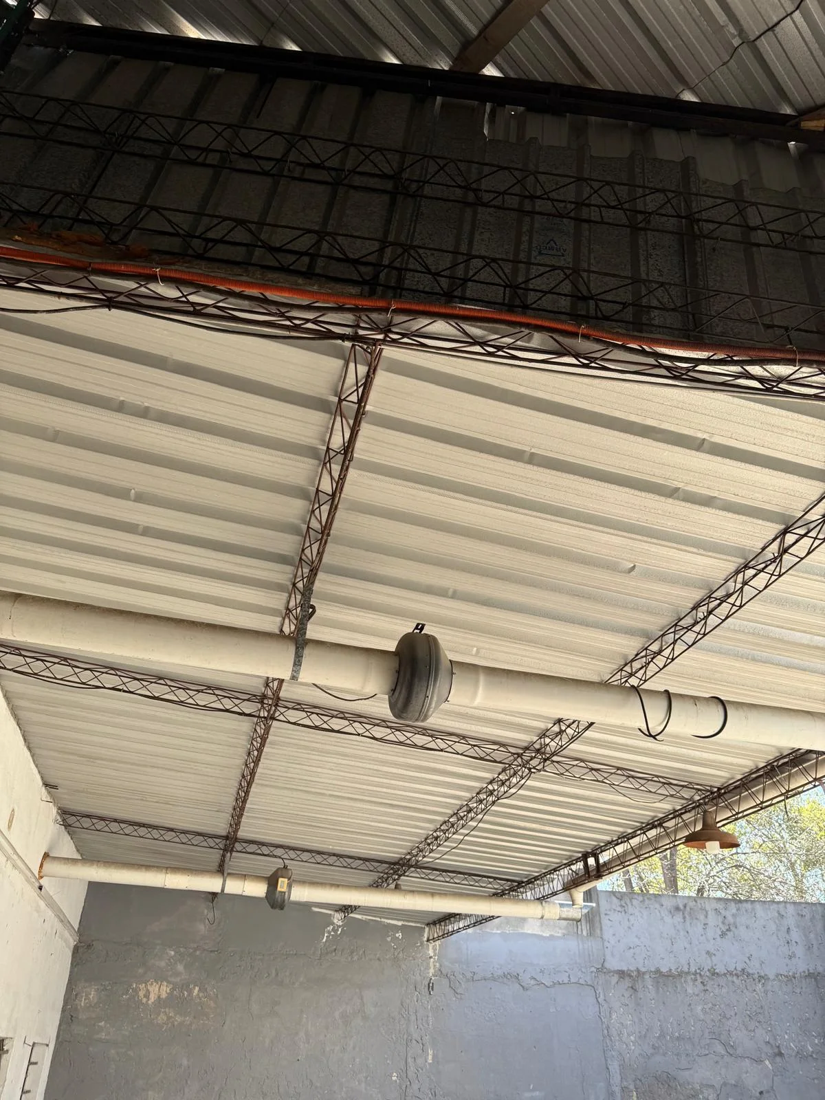 Local en Aguada, propiedad 292402 -Imagen 6