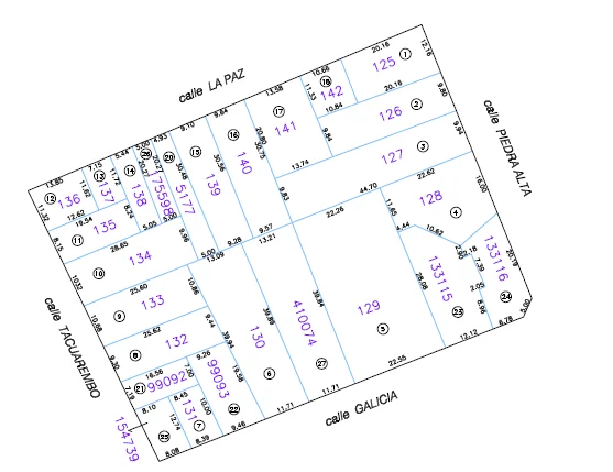 Terreno en Cordón Sur, propiedad 302203 -Imagen 4
