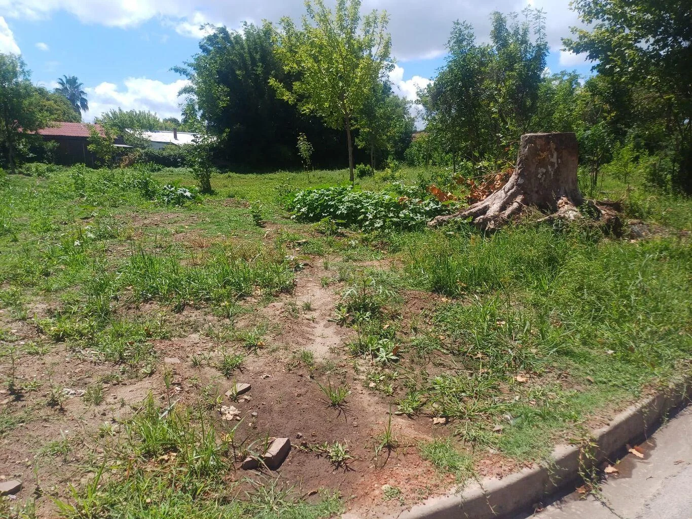 Terreno en San Gregorio de Polanco, propiedad 293536 -Imagen 1