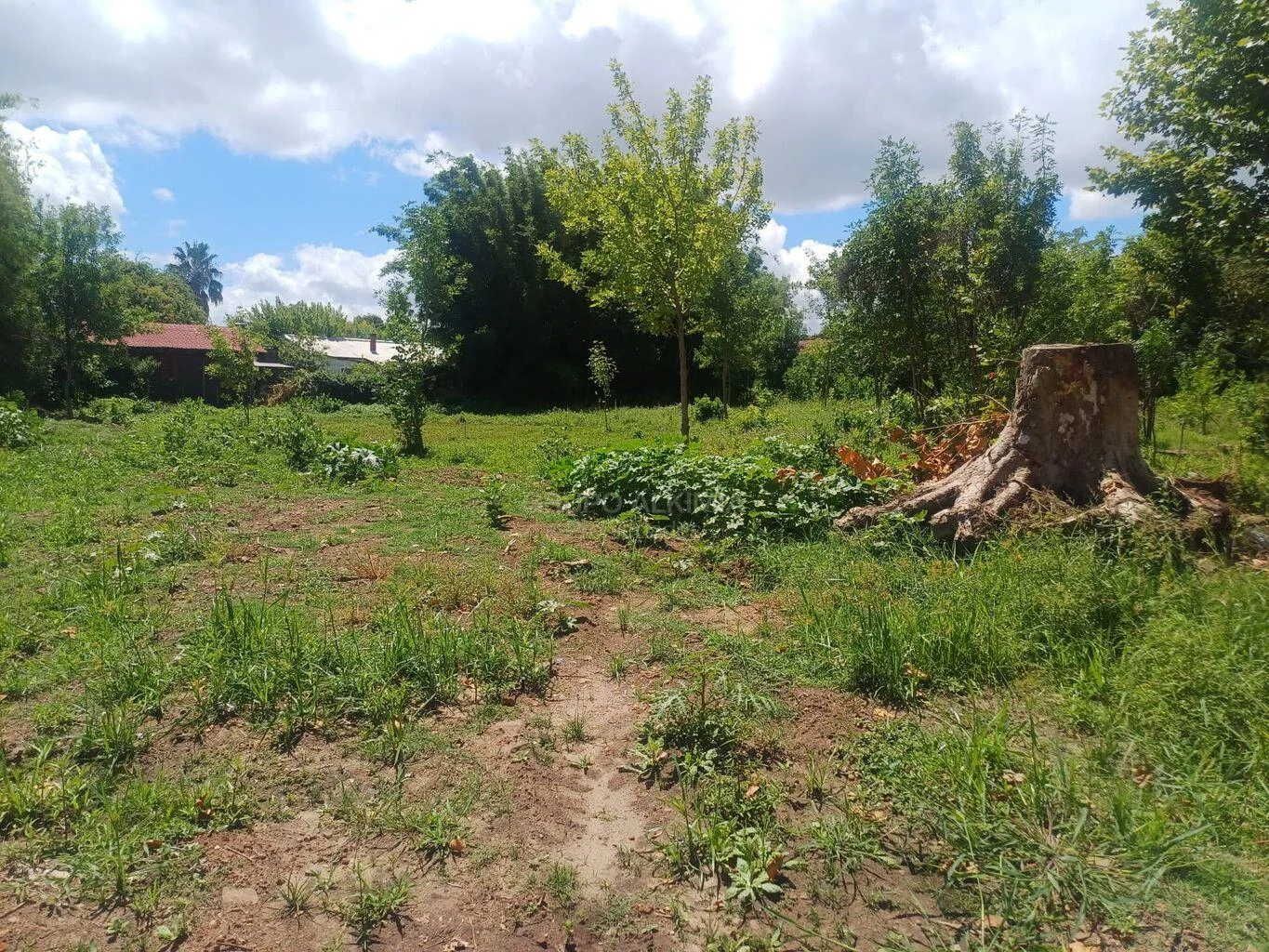 Terreno en San Gregorio de Polanco, propiedad 293536 -Imagen 2