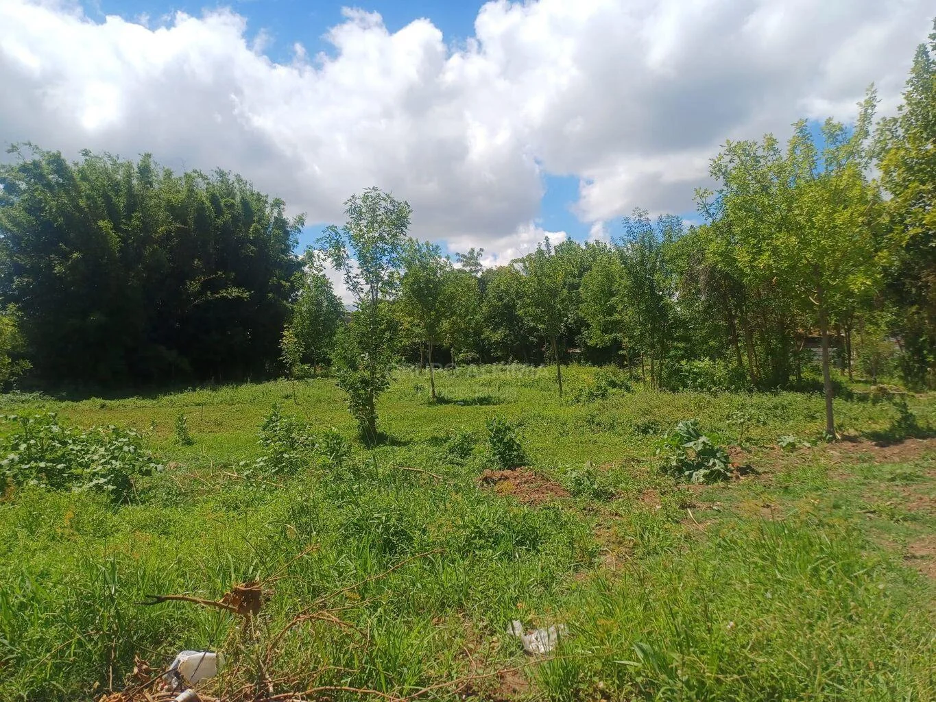 Terreno en San Gregorio de Polanco, propiedad 293536 -Imagen 5
