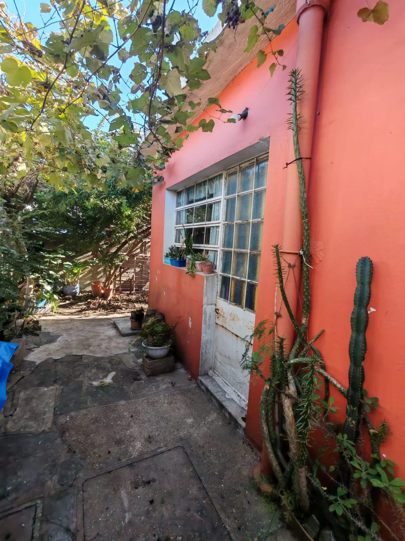 Casa en Nuevo París, propiedad 284209 -Imagen 13