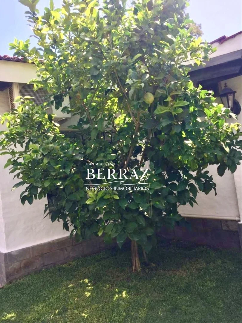 Casa en Playa Brava, propiedad 296901 -Imagen 33