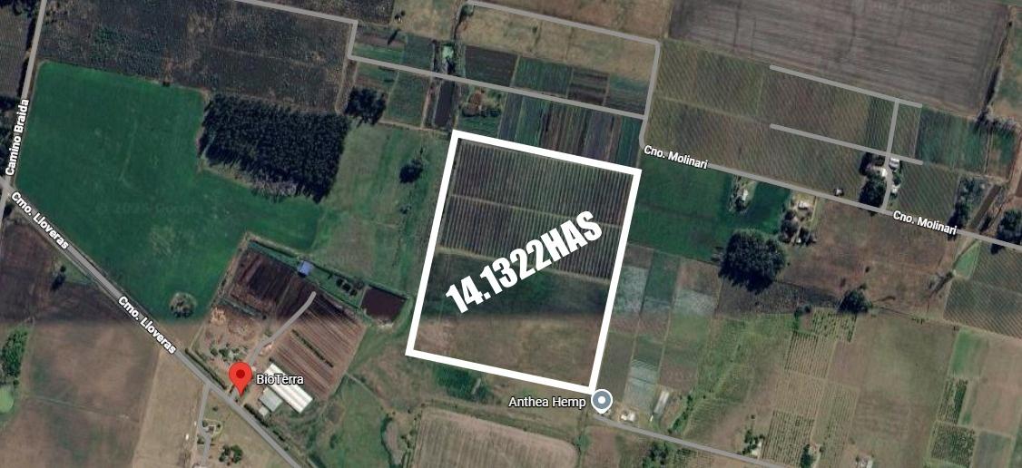 Chacra en Juanico, propiedad 273898 -Imagen 2
