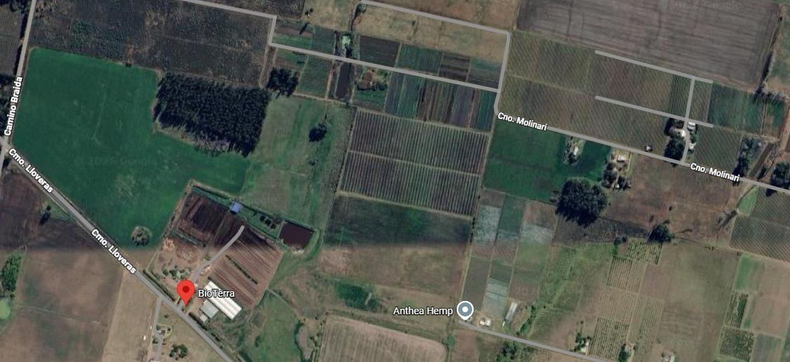 Chacra en Juanico, propiedad 273898 -Imagen 3
