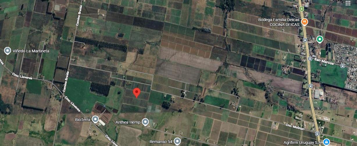 Chacra en Juanico, propiedad 273898 -Imagen 9