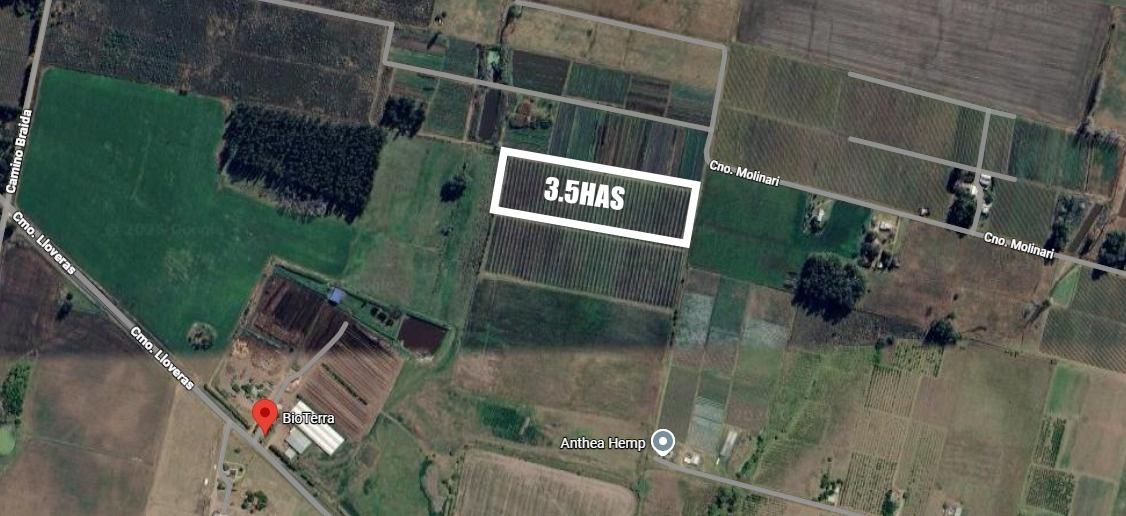 Chacra en Juanico, propiedad 273923 -Imagen 1