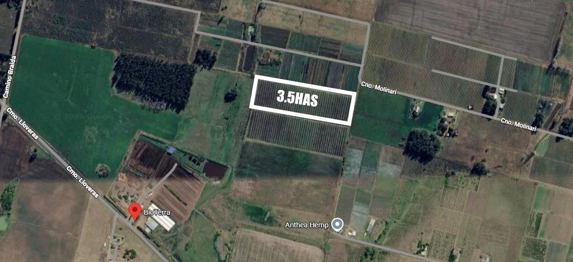Chacra en Juanico, propiedad 291035 -Imagen 1