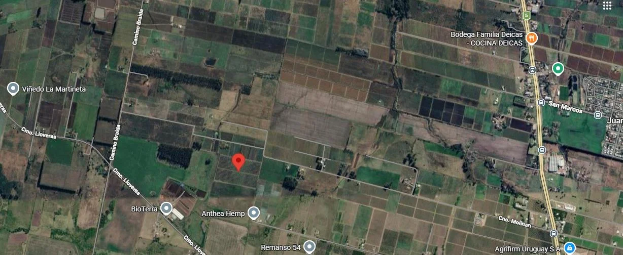 Chacra en Juanico, propiedad 291035 -Imagen 2