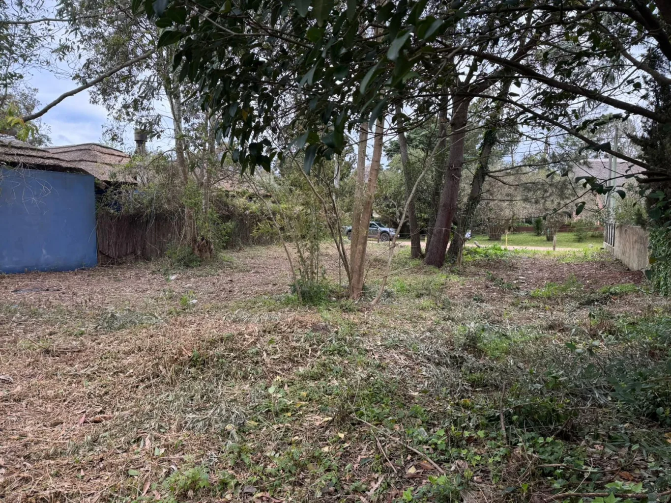 Terreno en Chihuahua, propiedad 296084 -Imagen 4