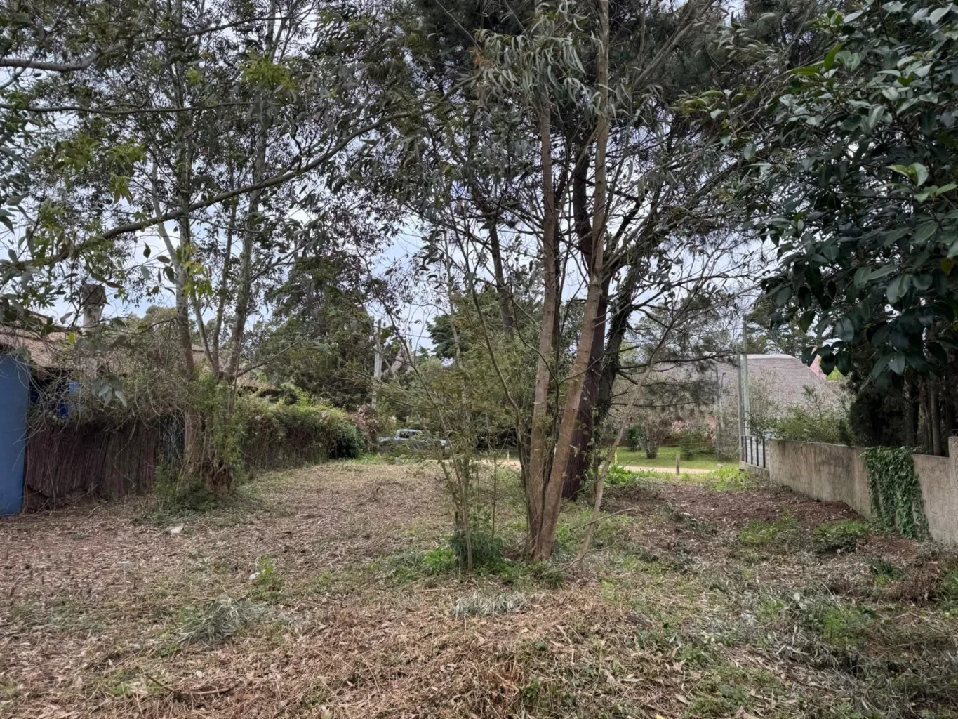 Terreno en Chihuahua, propiedad 296084 -Imagen 5