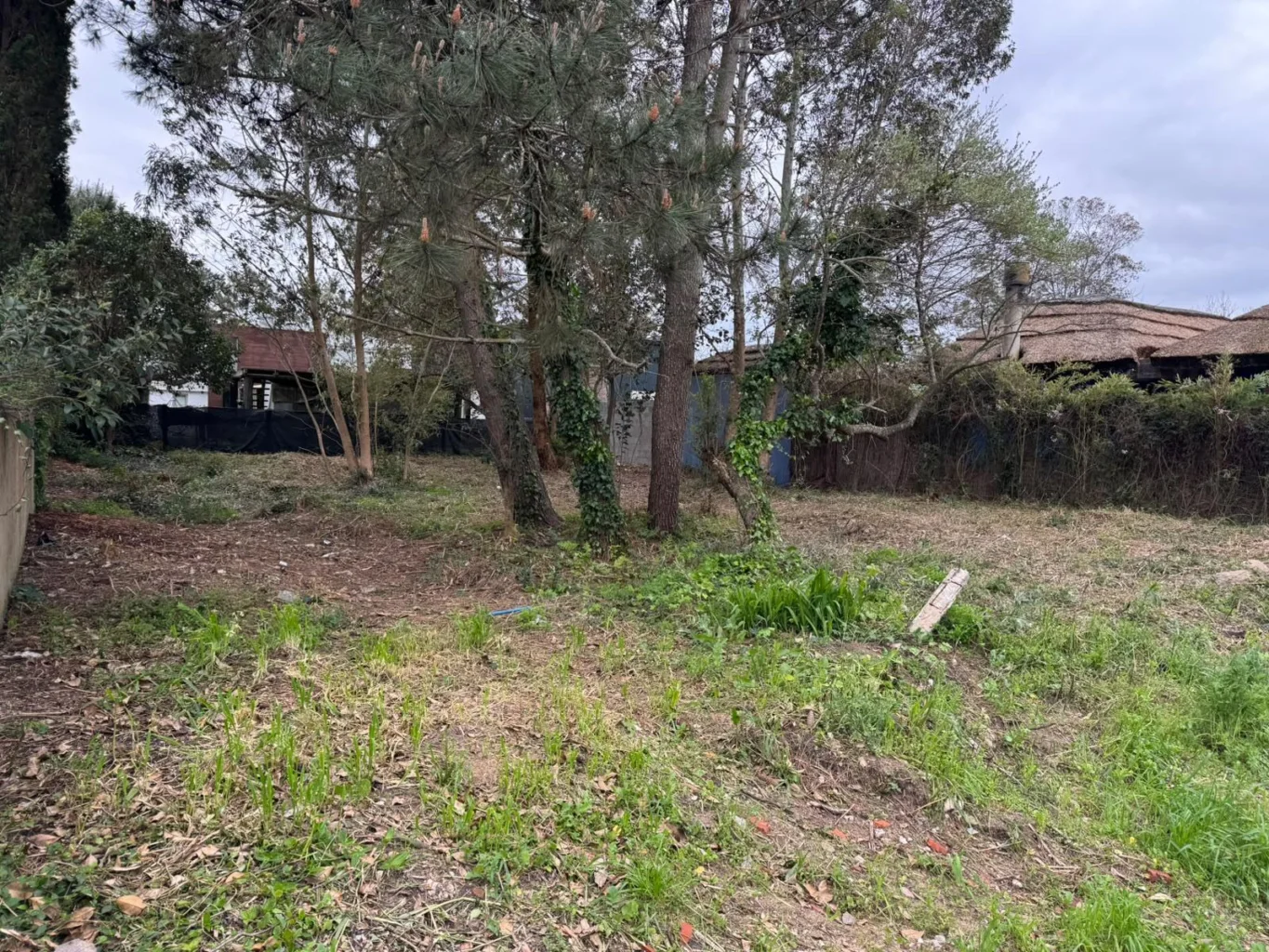 Terreno en Chihuahua, propiedad 296084 -Imagen 6