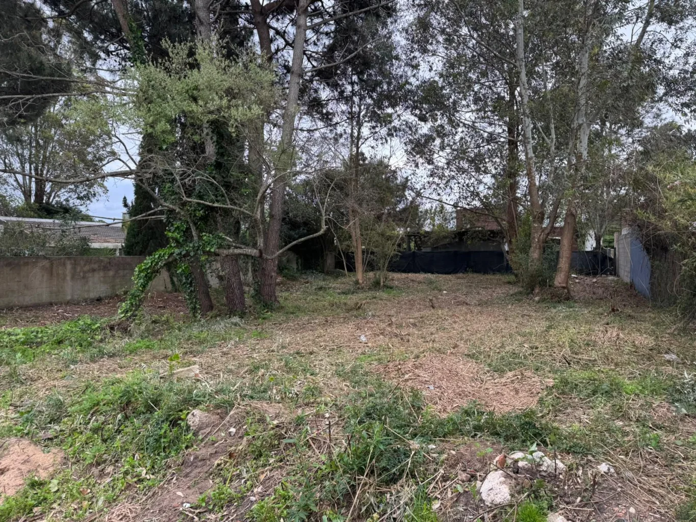 Terreno en Chihuahua, propiedad 296084 -Imagen 7