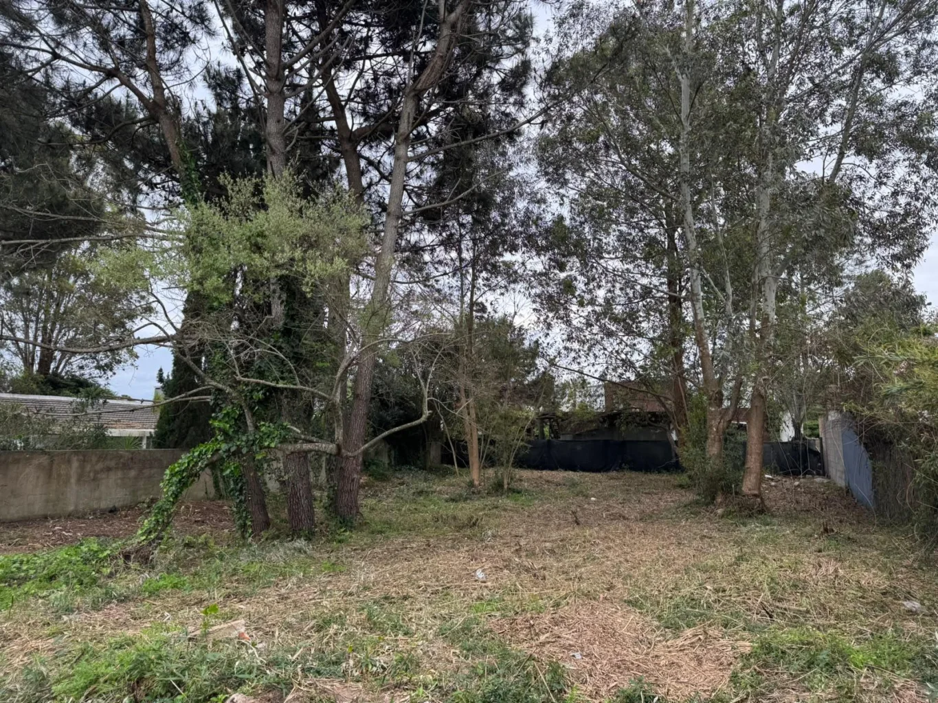 Terreno en Chihuahua, propiedad 296084 -Imagen 8