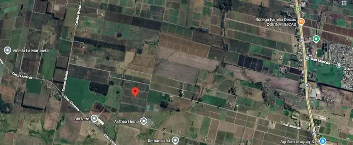 imagen  de la propiedad 291034