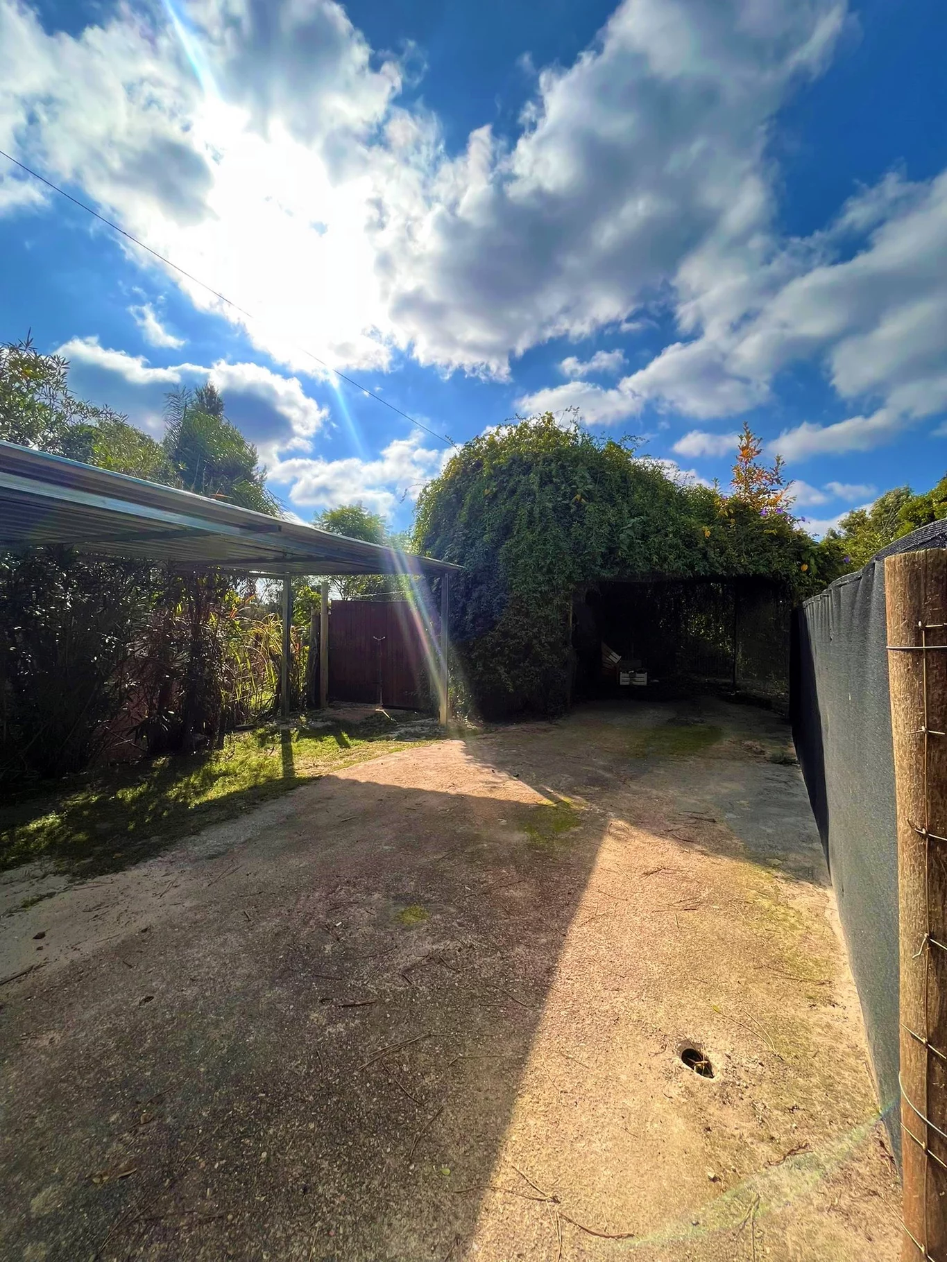 Casa en El Pinar, propiedad 274636 -Imagen 10