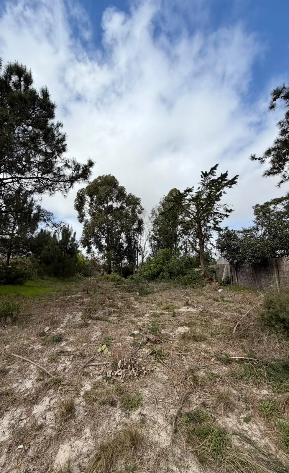 Terreno en El Pinar, propiedad 289354 -Imagen 3