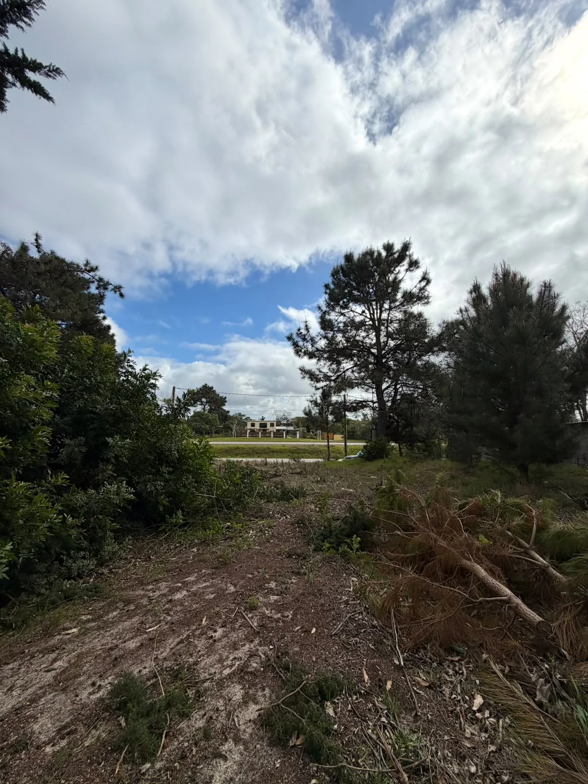 Terreno en El Pinar, propiedad 289354 -Imagen 4