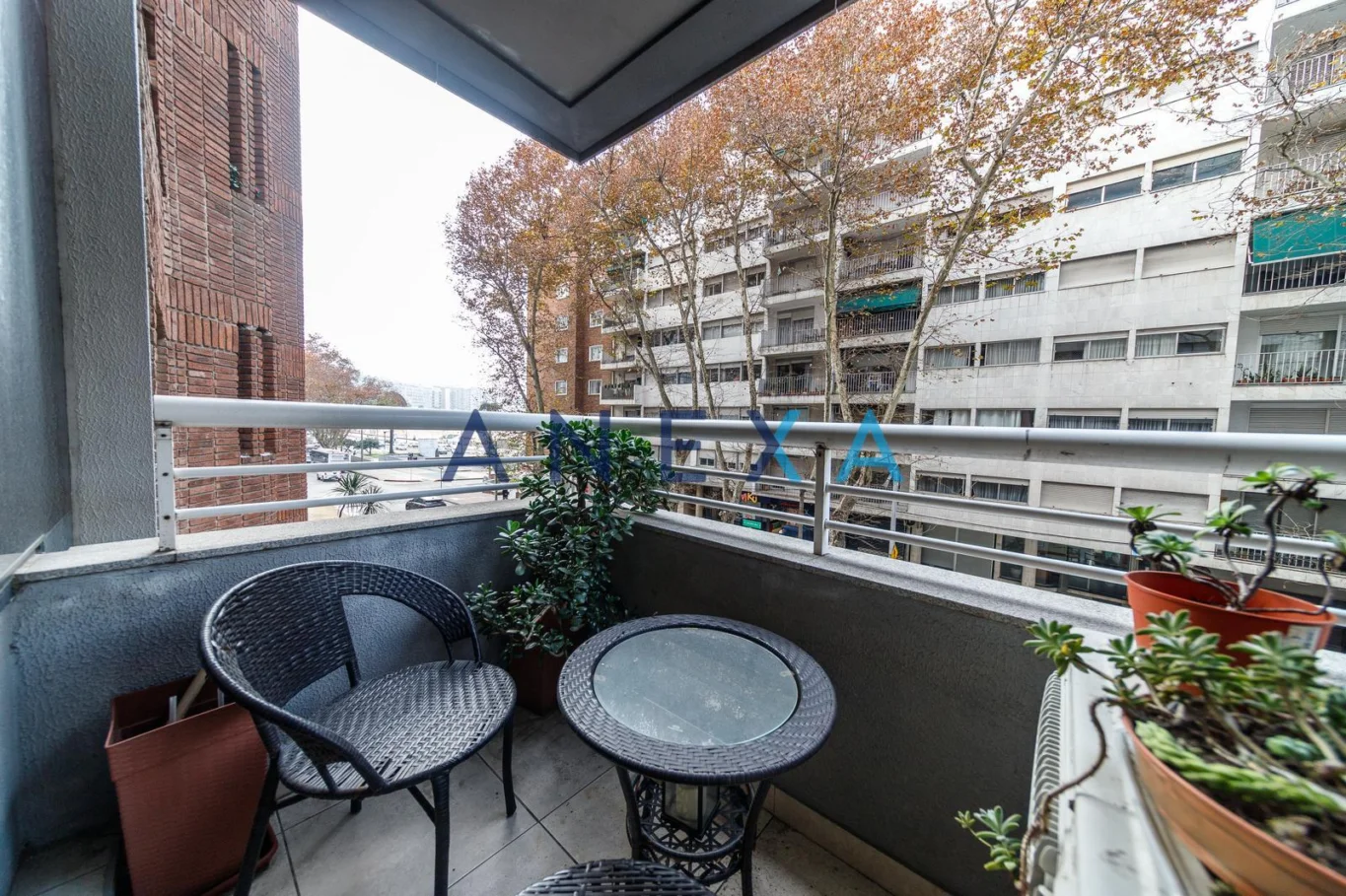 Apartamento en Pocitos, propiedad 286851 -Imagen 3
