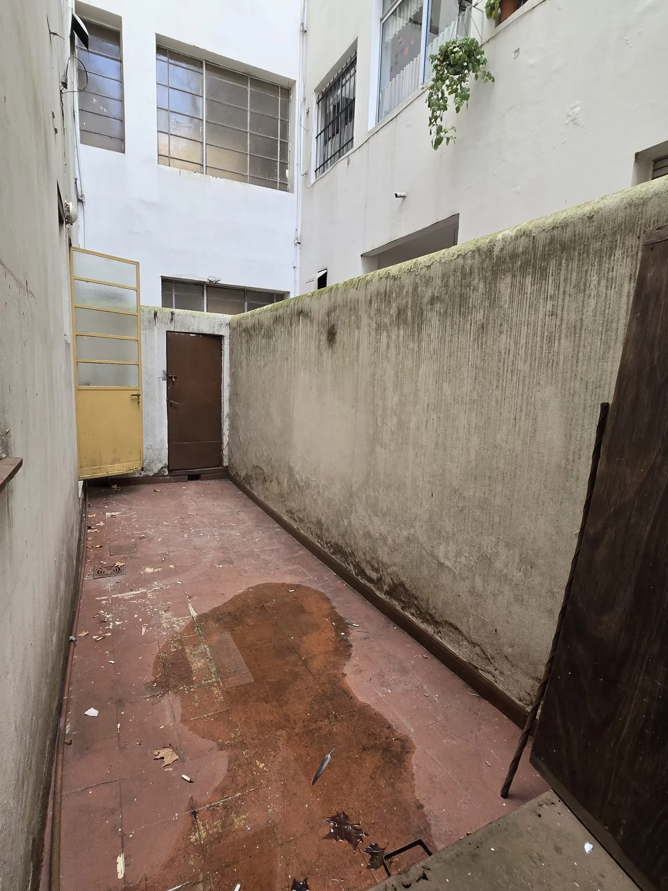 Apartamento en Centro, propiedad 272947 -Imagen 8