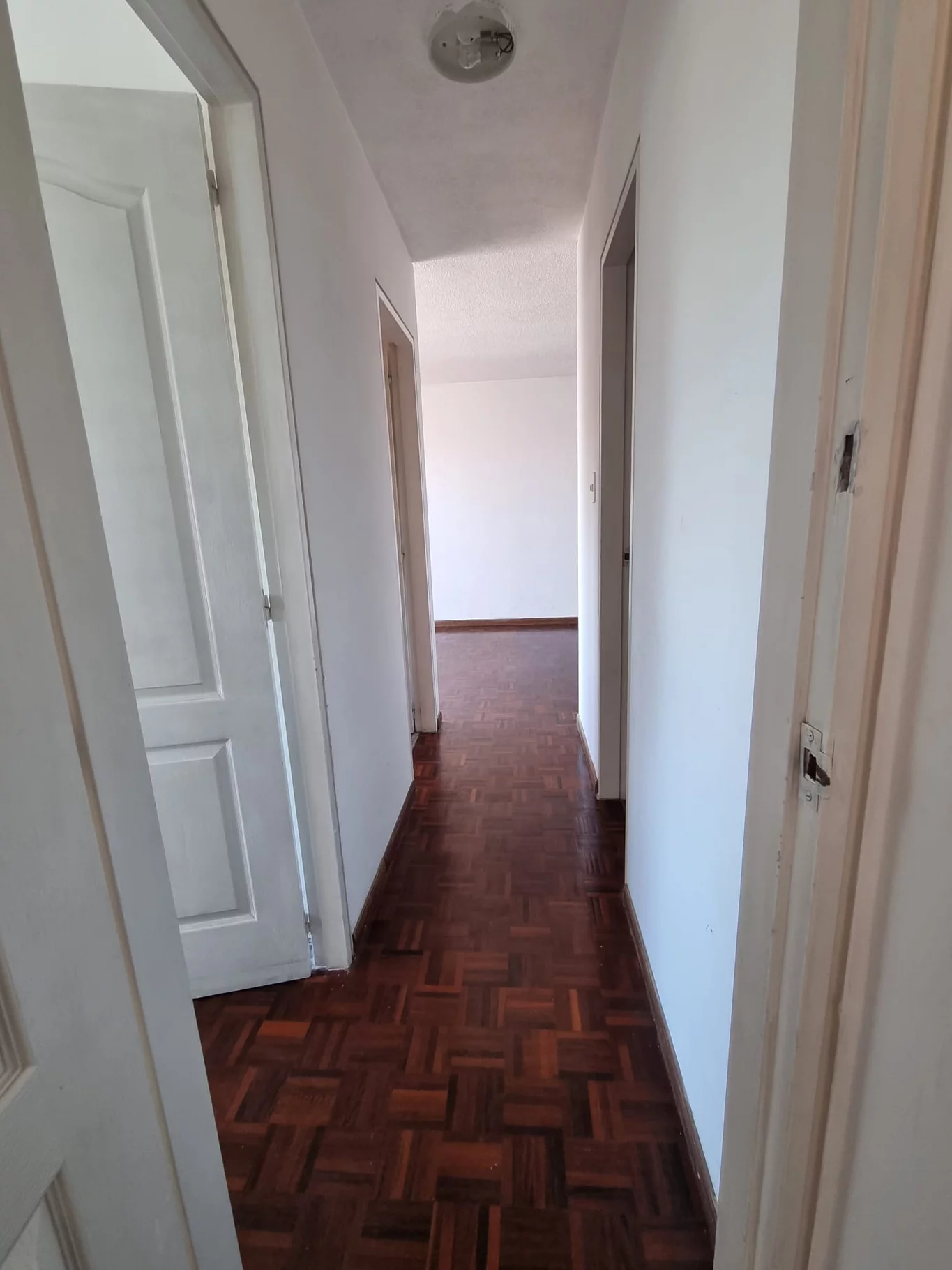 Apartamento en Pocitos, propiedad 275065 -Imagen 14