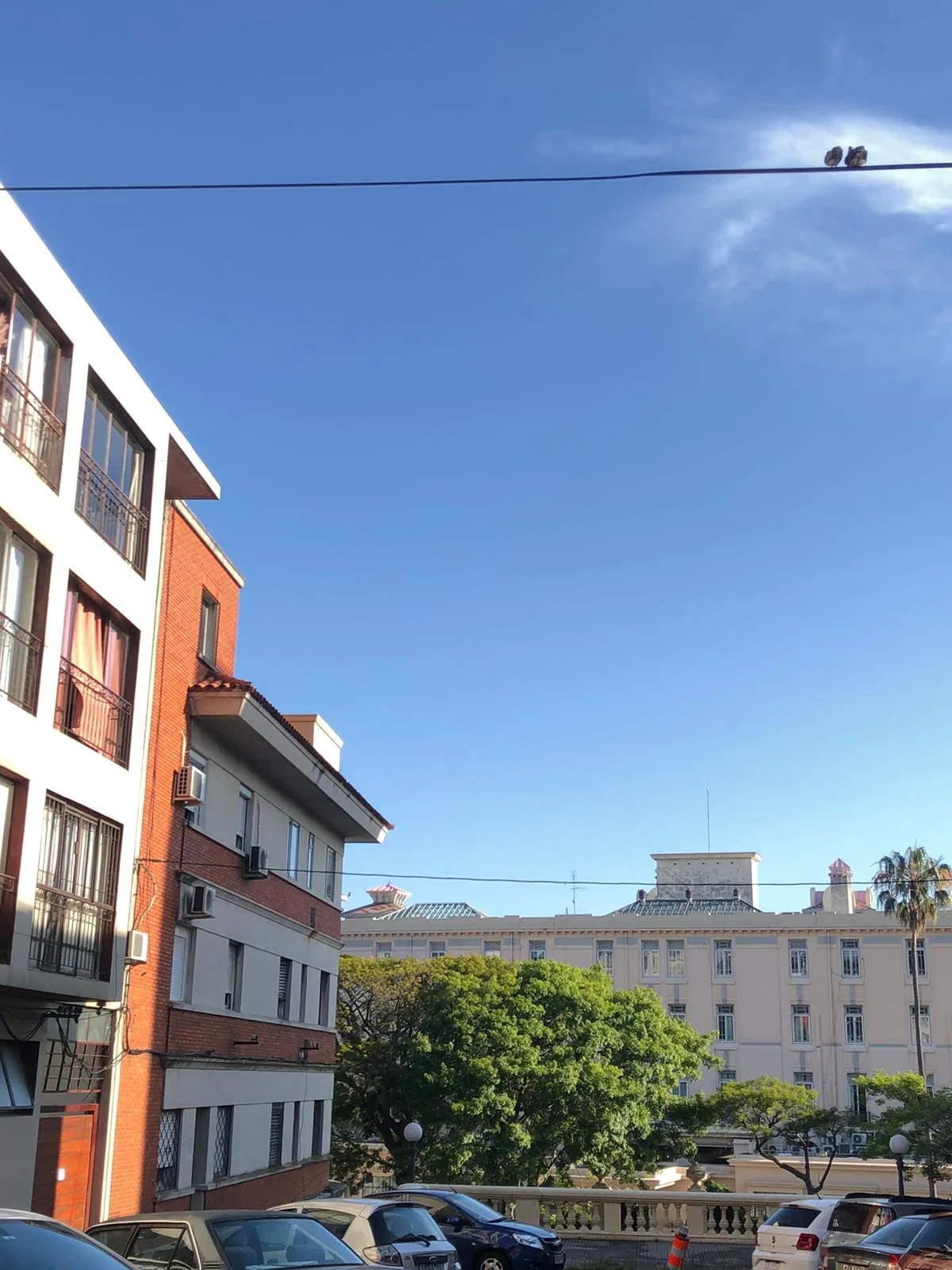 Apartamento en Parque Rodó, propiedad 287808 -Imagen 12