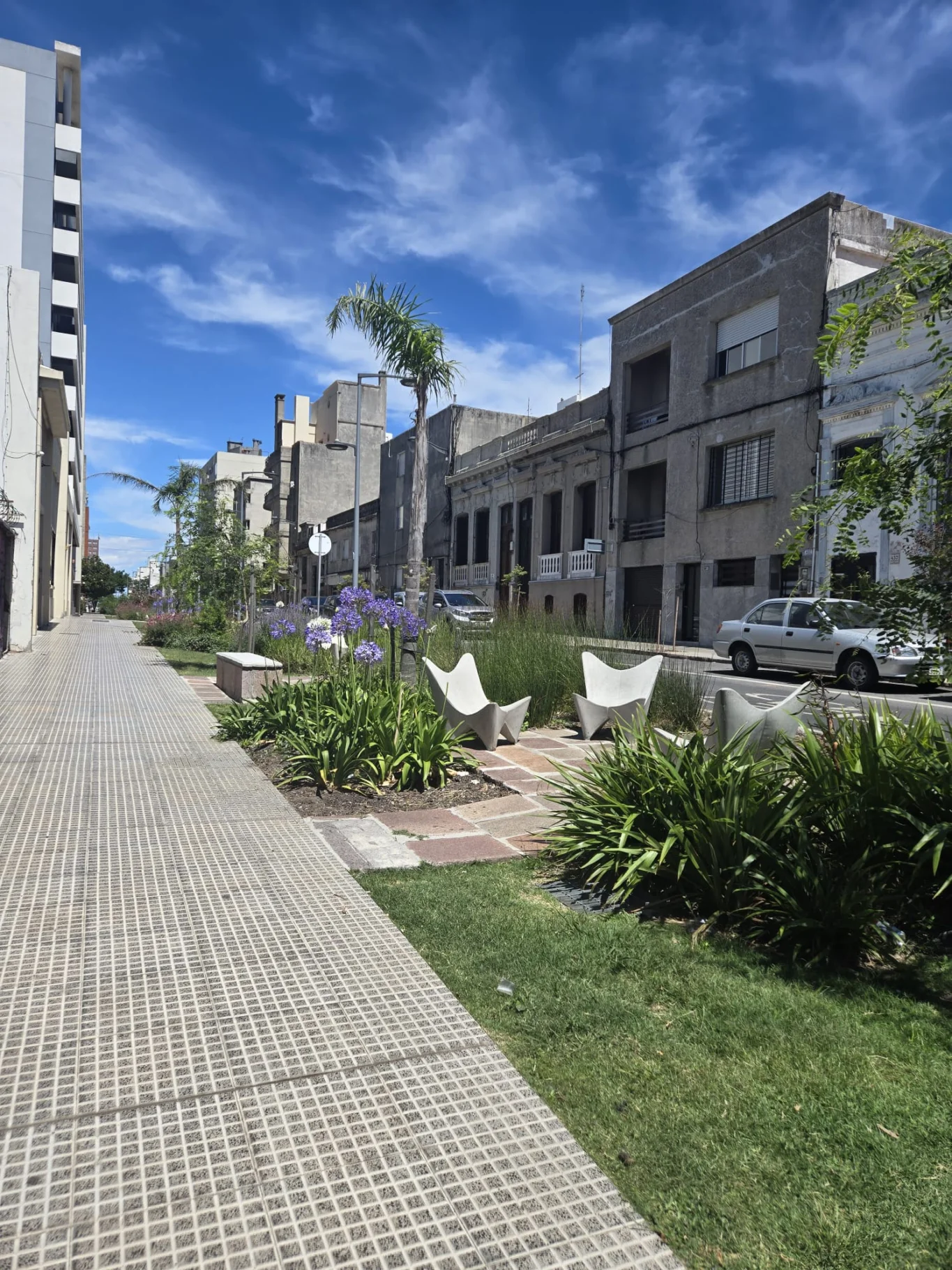 Apartamento en Ciudad Vieja, propiedad 287835 -Imagen 11