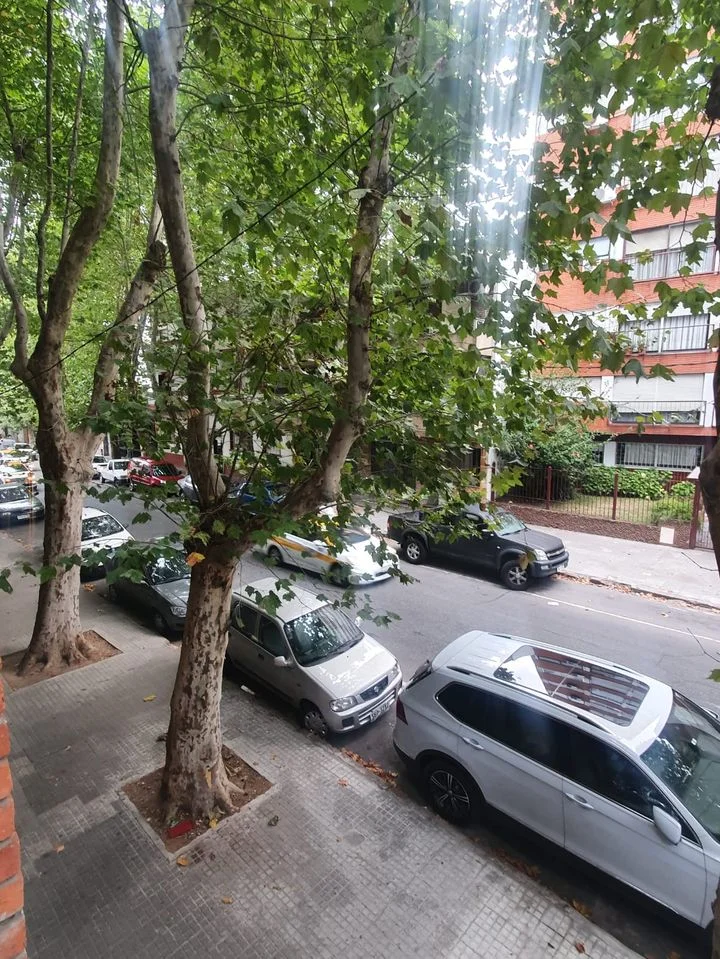 Apartamento en Cordón, propiedad 293524 -Imagen 9