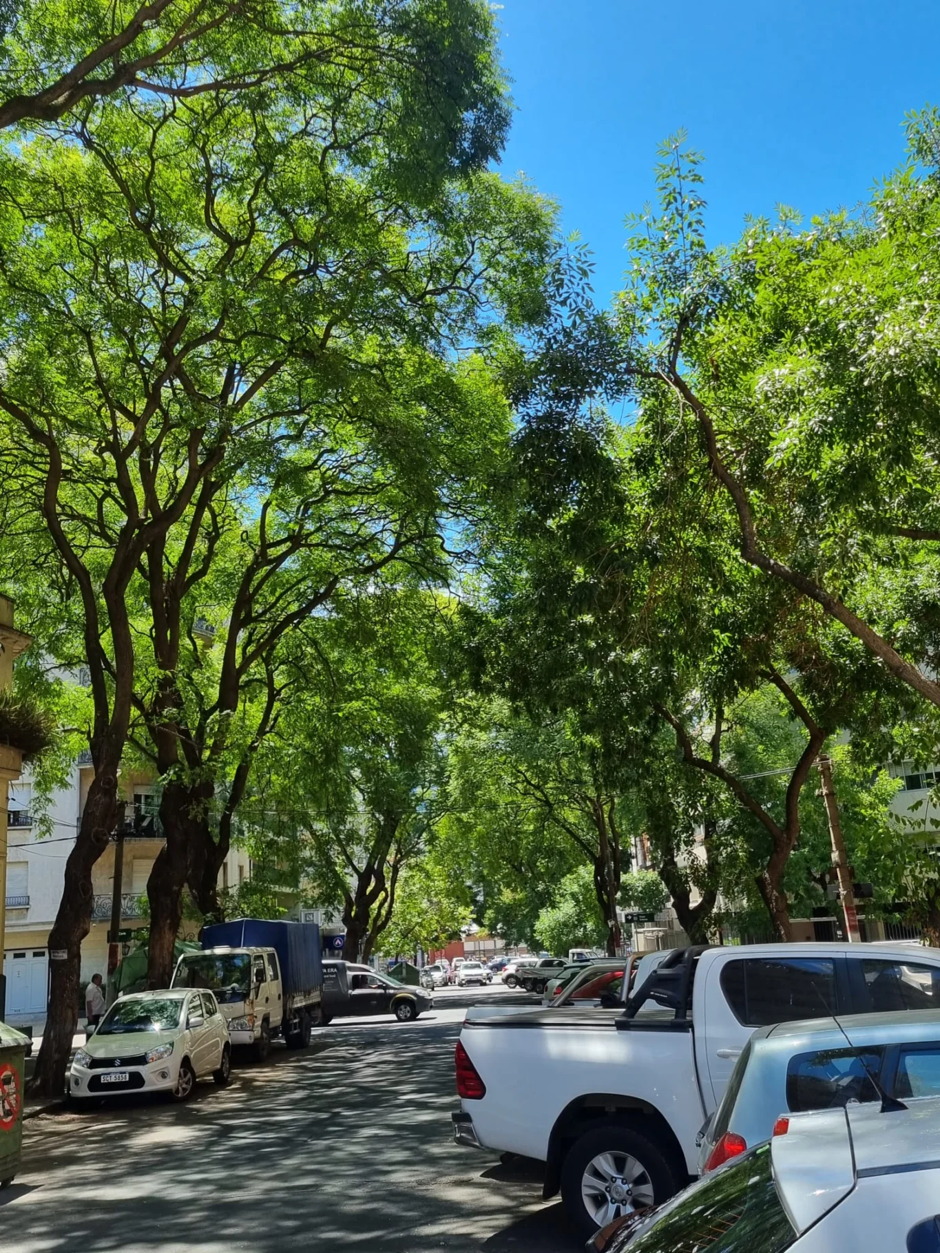 Apartamento en Pocitos, propiedad 293817 -Imagen 12