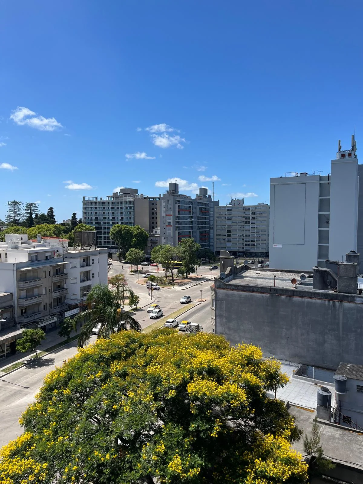 Apartamento en La Blanqueada, propiedad 295499 -Imagen 14