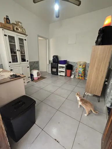 Apto tipo casita interior con patio (solo gatos) Joanico y Lindoro Forteza 48 mts. 