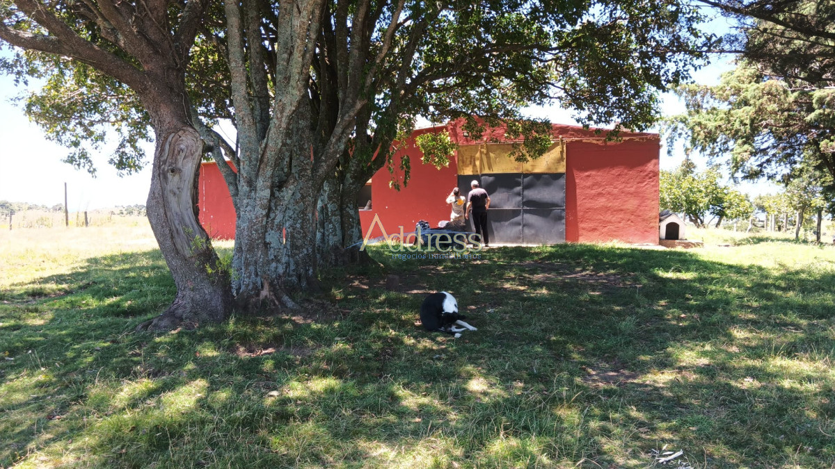 Chacra en Pueblo Eden, propiedad 271782 -Imagen 4