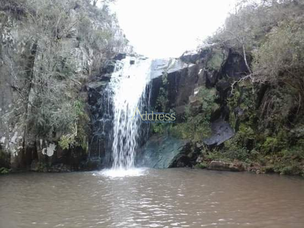 Chacra en Pueblo Eden, propiedad 271782 -Imagen 15