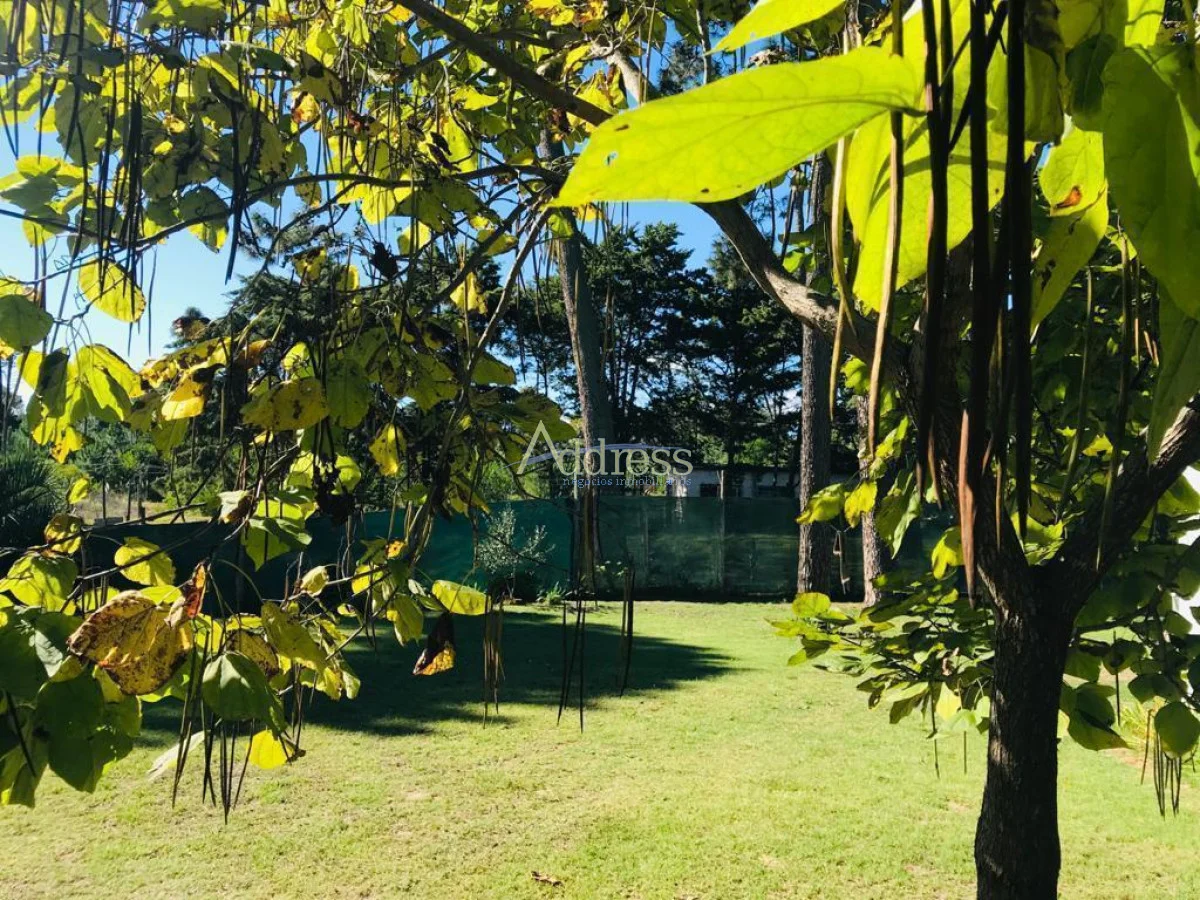 Casa en Punta del Este, propiedad 271841 -Imagen 23
