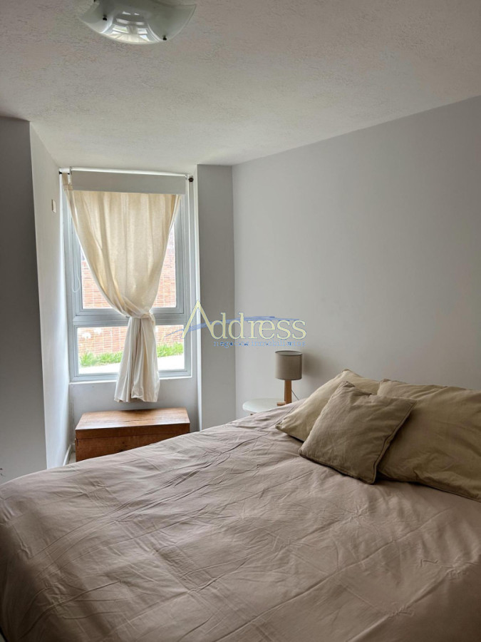 Apartamento en Playa Brava, propiedad 274302 -Imagen 10