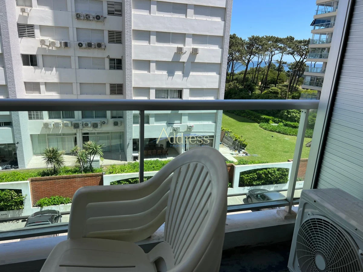 Apartamento en Playa Mansa, propiedad 282050 -Imagen 10