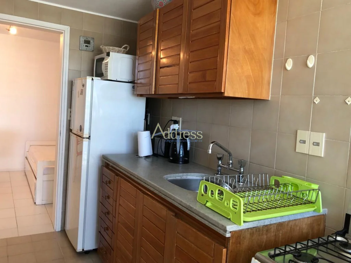 Apartamento en Playa Brava, propiedad 291043 -Imagen 13
