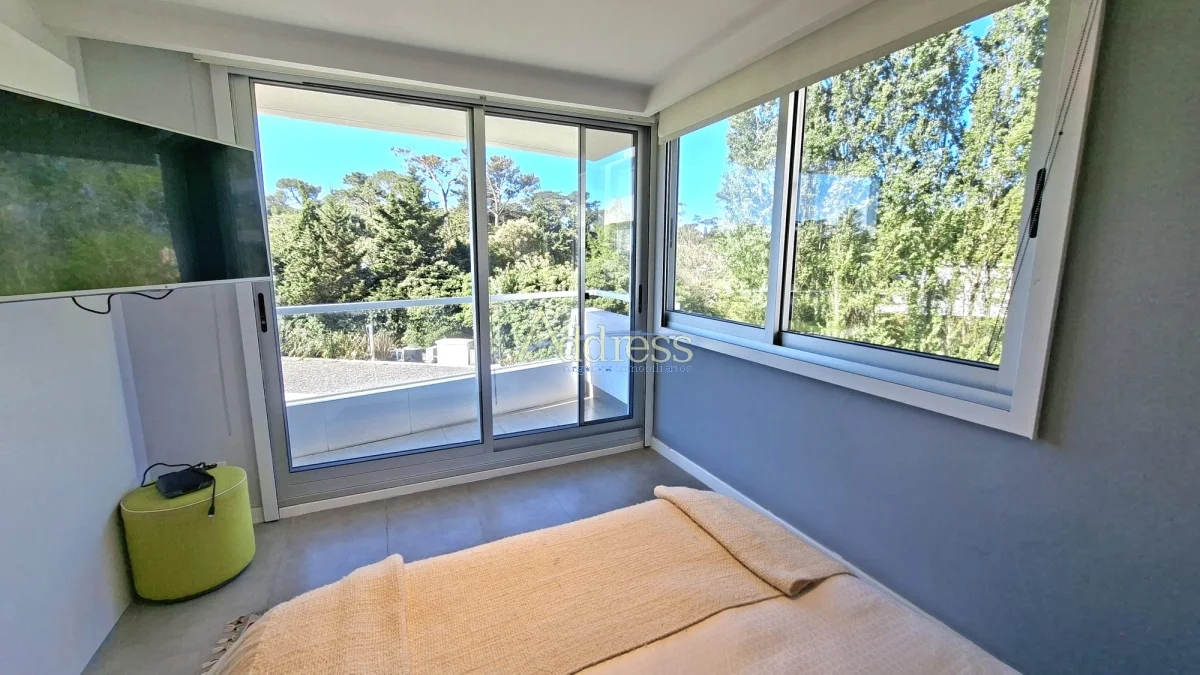 Apartamento en Playa Mansa, propiedad 291053 -Imagen 19