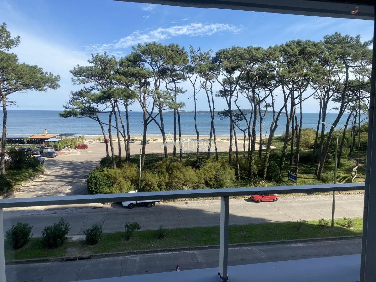 Apartamento en Playa Mansa, propiedad 293780 -Imagen 4