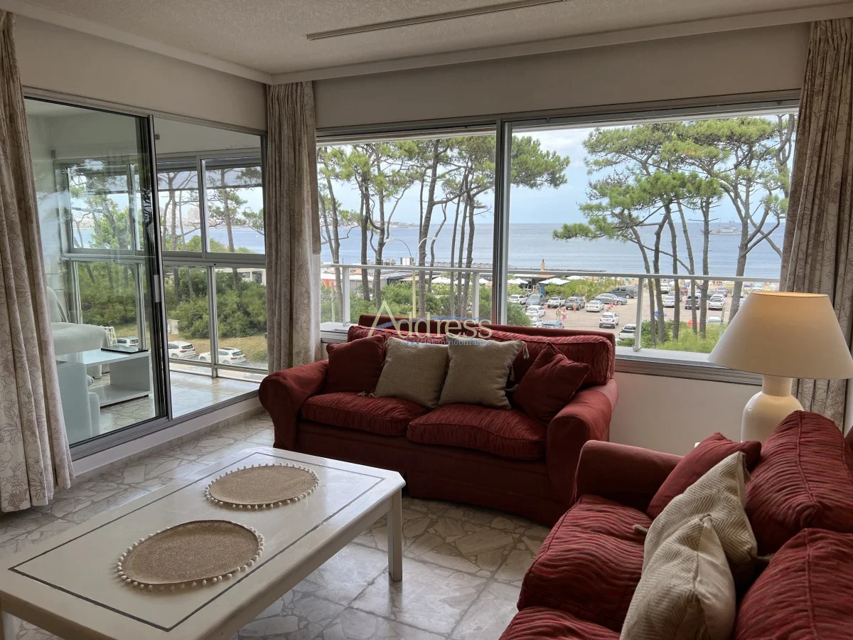 Apartamento en Playa Mansa, propiedad 293780 -Imagen 8